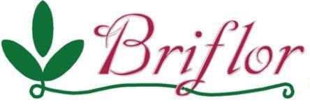 CANDELE ALZATINA CON PROFUMO ASS.H16 DP