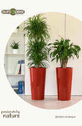 CASO CIOTOLA NERO OPACO Ø 27X23H