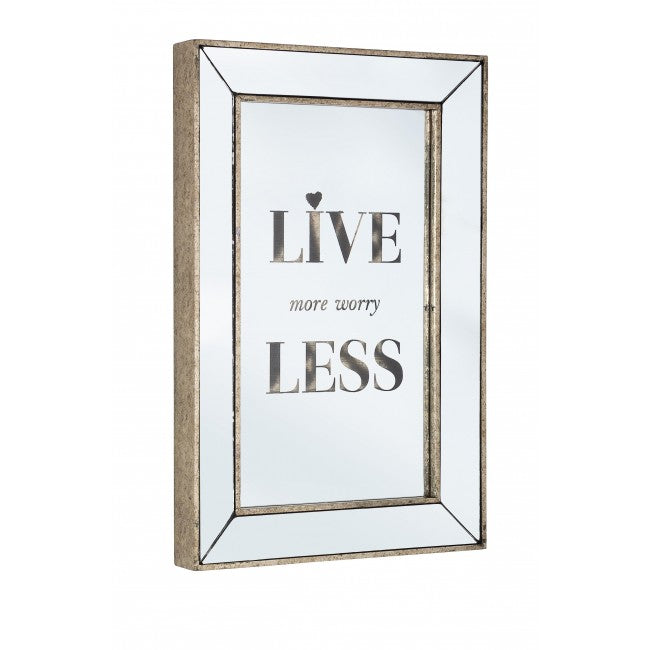 SPECCHIO GLACE 40X60 W44