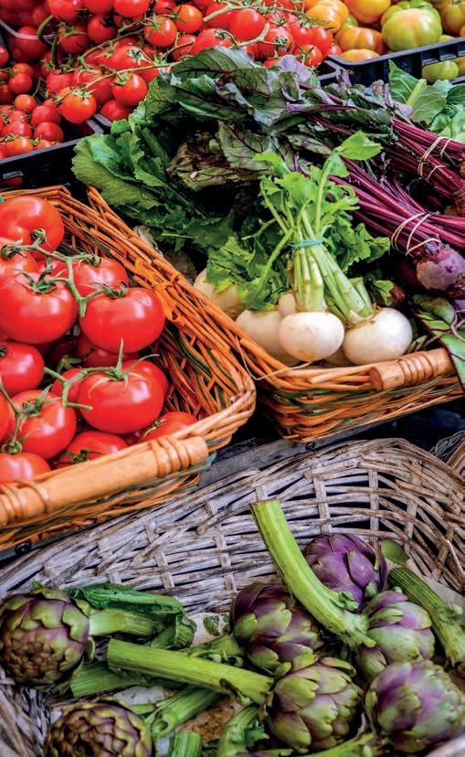 PEONIA FIORE PICK ROSSO H35