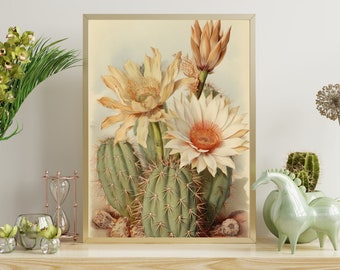 GUANTO STAMPA DIGITALE CACTUS