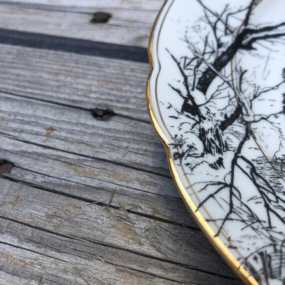 PIATTOFONDO GRIGIO Ø 19 BISCOTTO