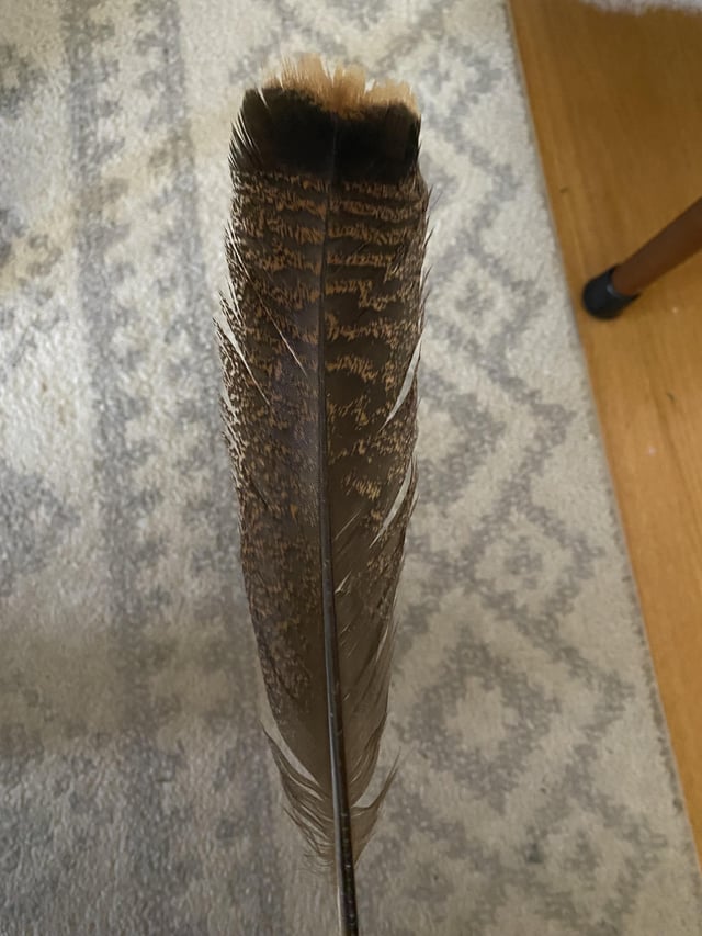 LAMINATO NORD NATURALE