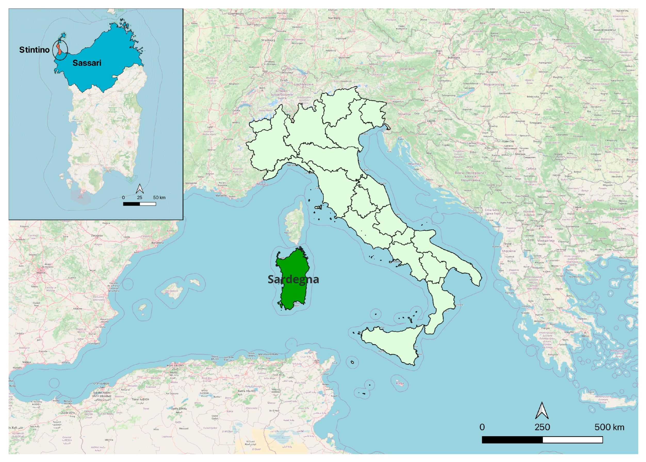 RIV. MURALE SHAPE PERU' OAK